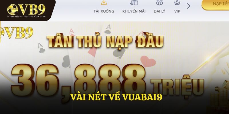 Tổng quan về nhà cái Vuabai9